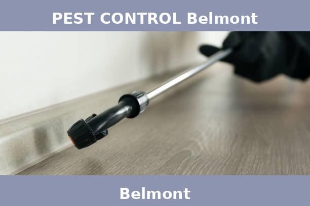 PEST CONTROL Belmont